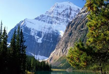 无忧传媒剧国产剧免费（无忧传媒排行第几）